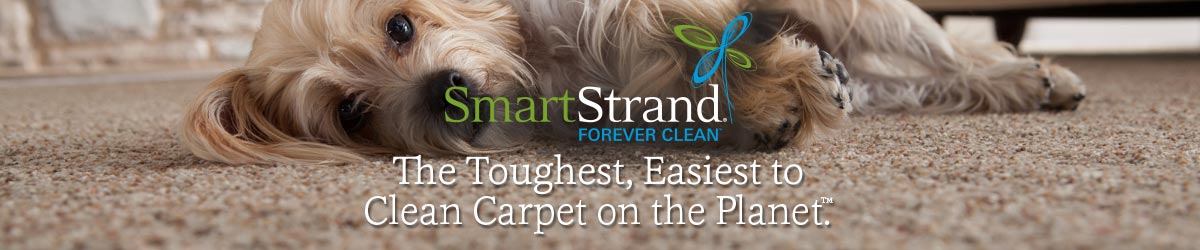 A&R Carpet Barn Mohawk SmartStrand Forever Clean Carpet
